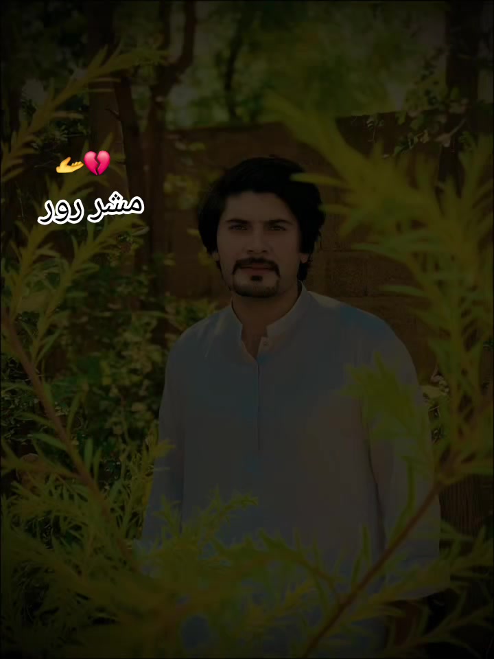 @Abaseen Yousafzai1