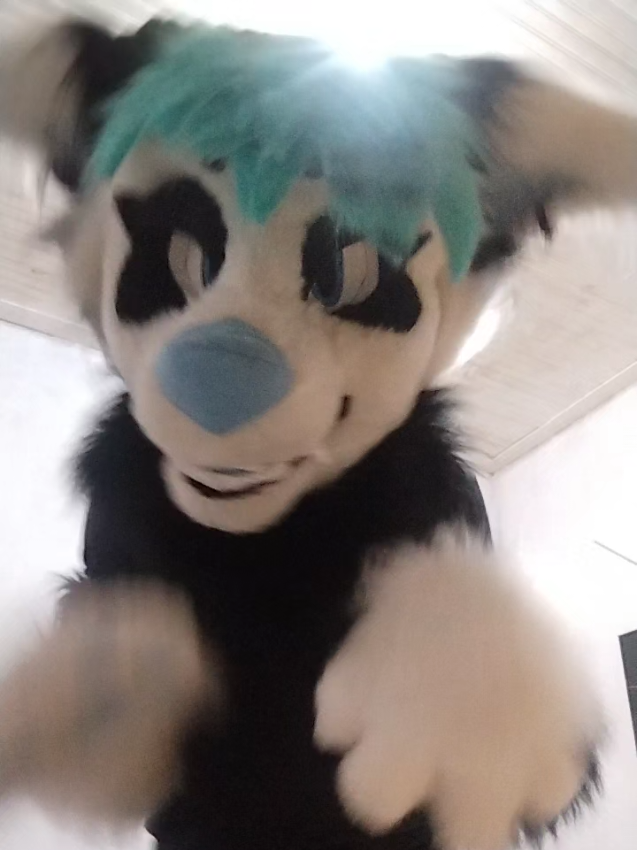 @𐂯✮⋆𝙷𝚞𝚙𝚘𝚕˙𓃡₊˚⊹🐾