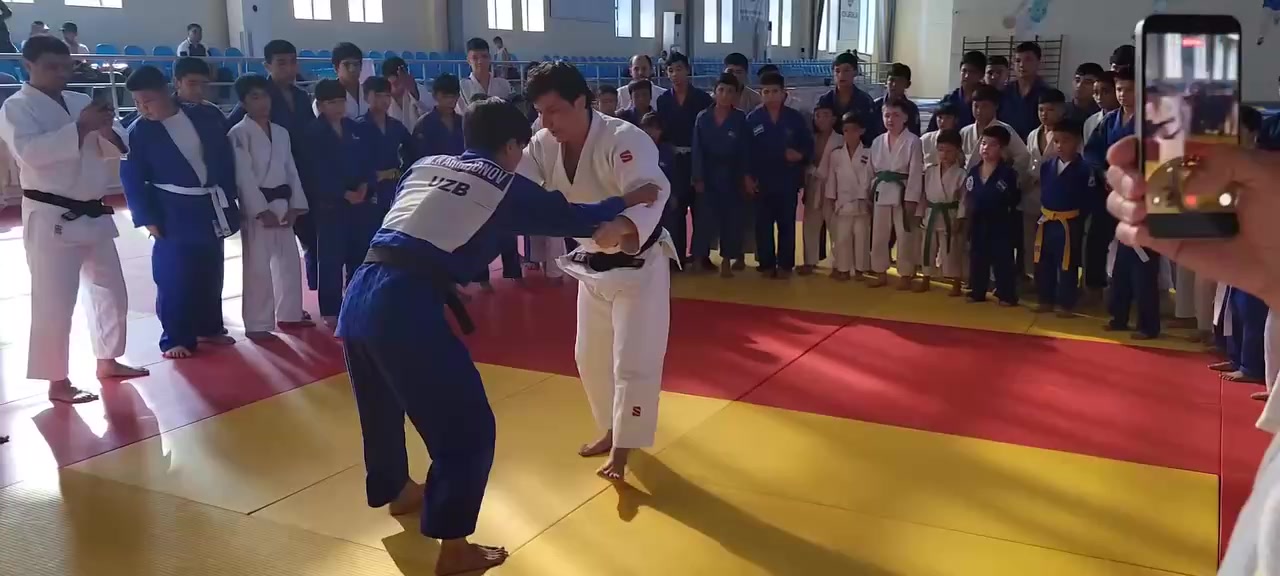 @mir_judo0