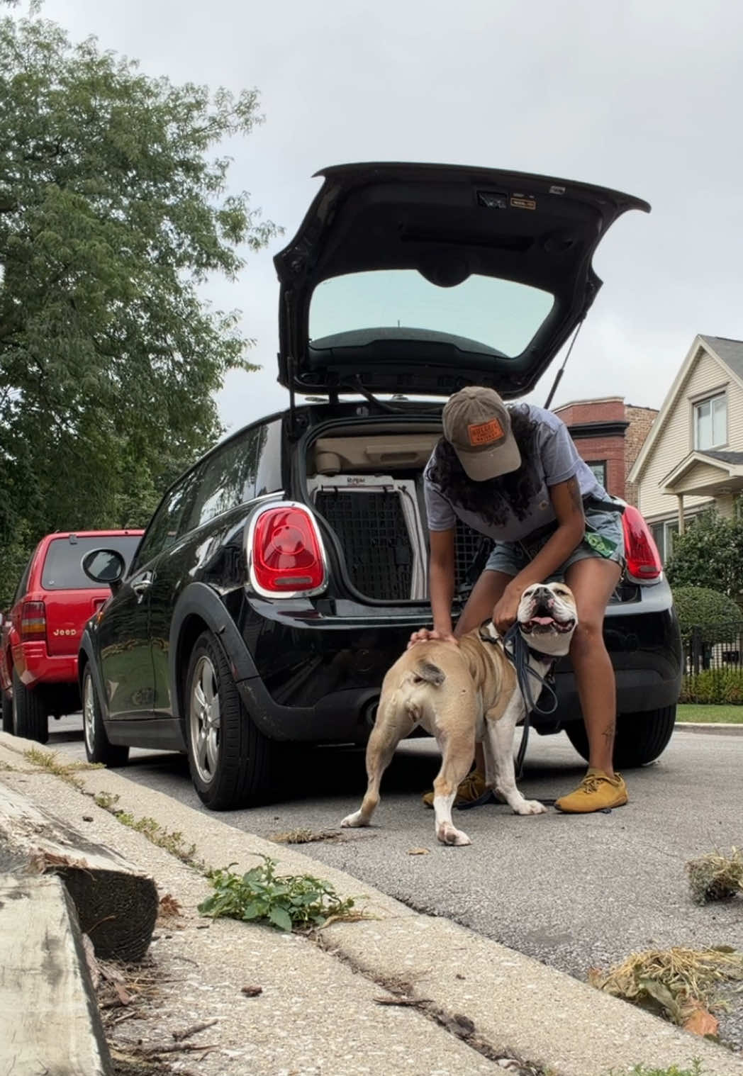 @dogstrainjen