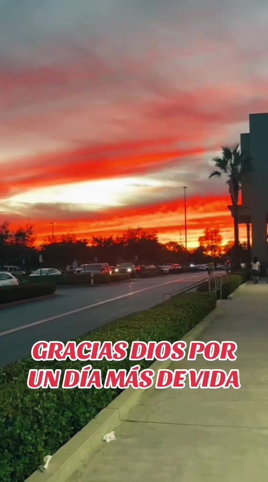 @Jerry El Chapín GT