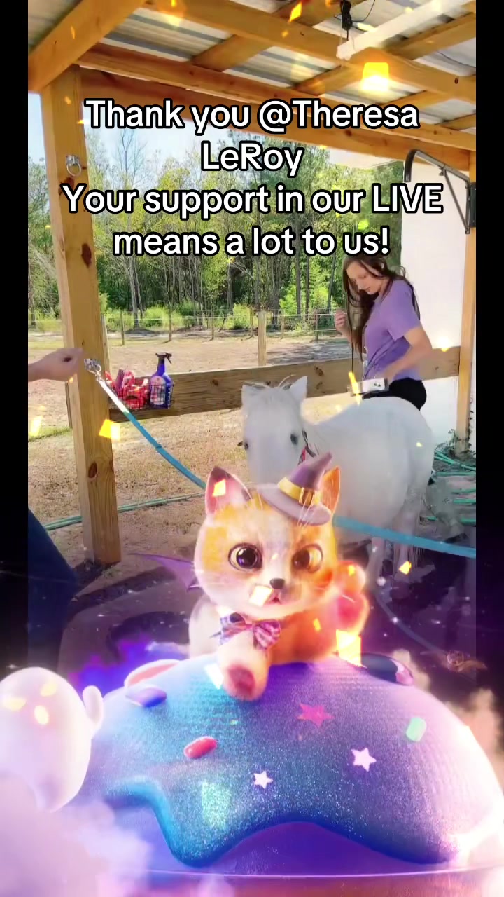 @itiswellstables