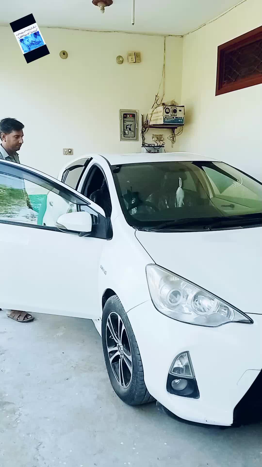 @noobadshah