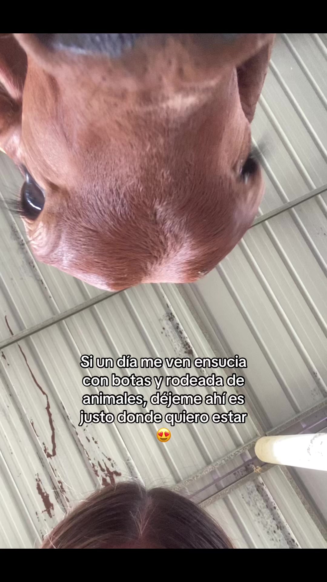 @Castañeda Rubio 🤠❤️