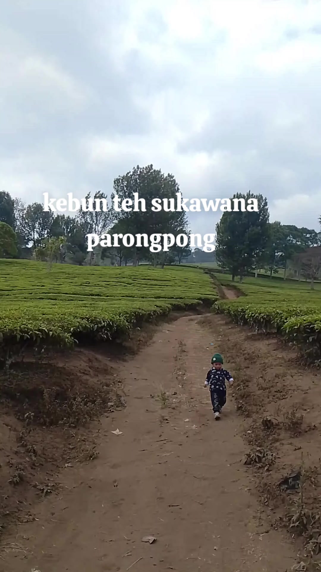 @jajang dega