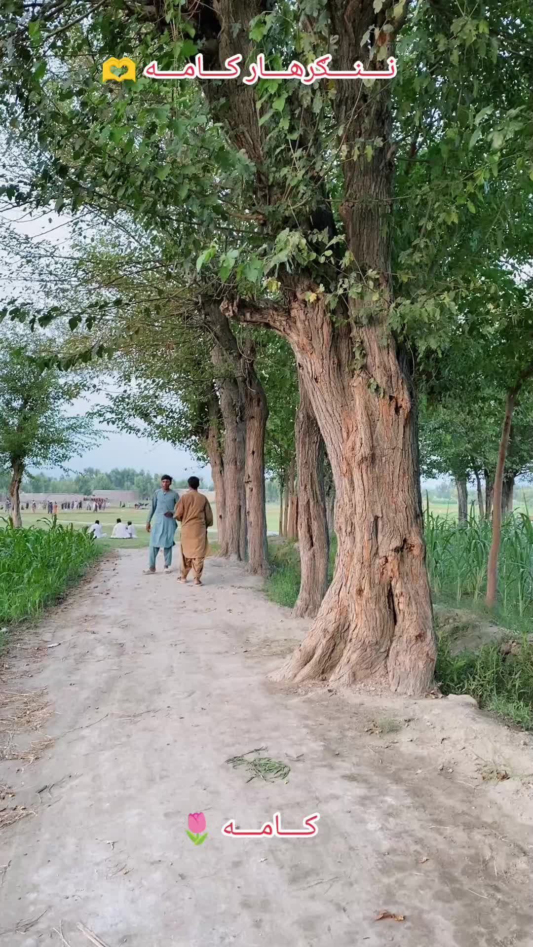 @🇦🇫꧁༒☬itx کاموال☬༒꧂