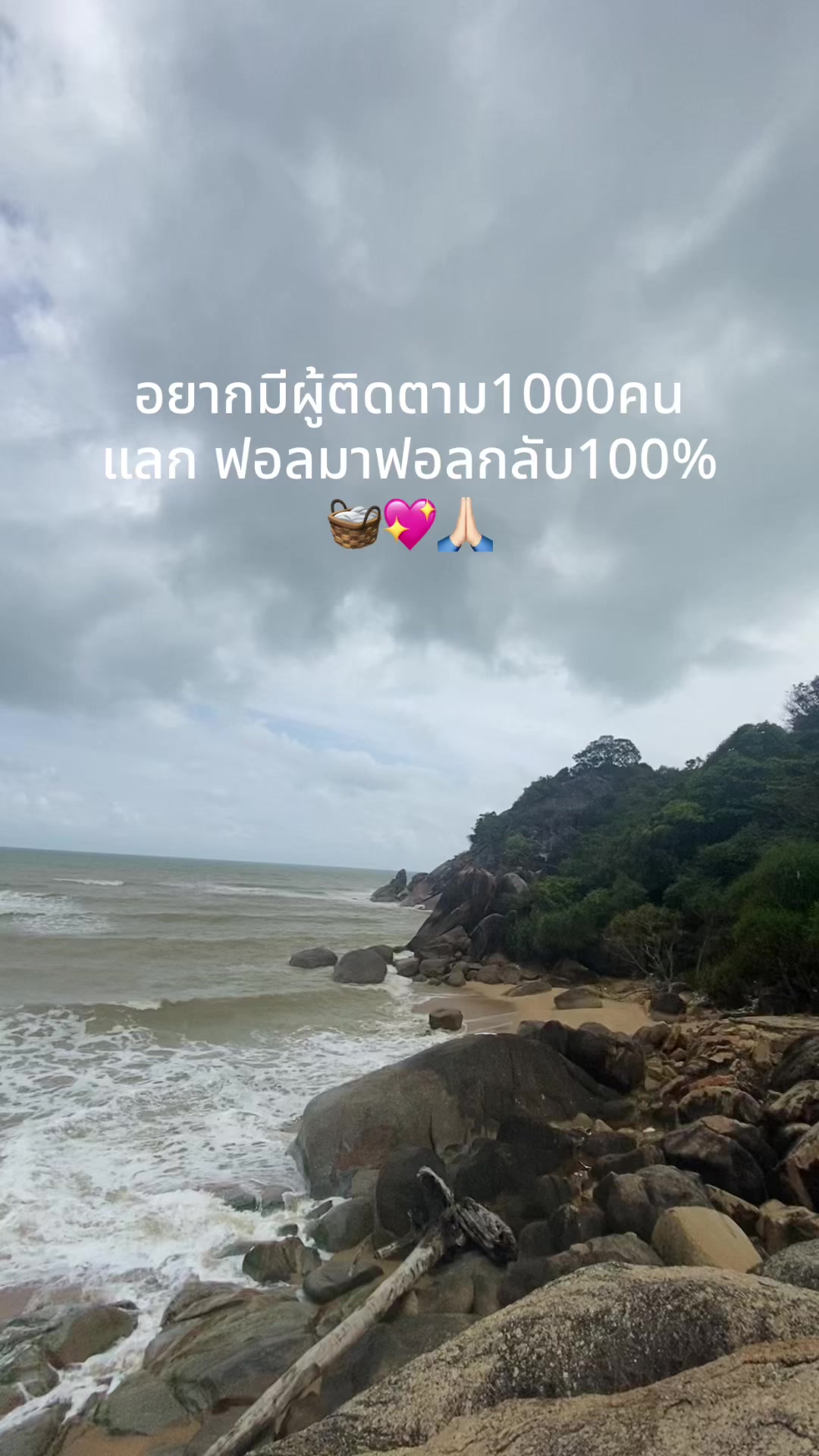 @bang_review0405