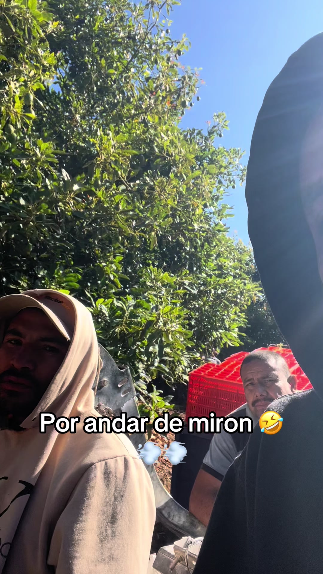 @EL SEÑOR DE LOS PEDOS
