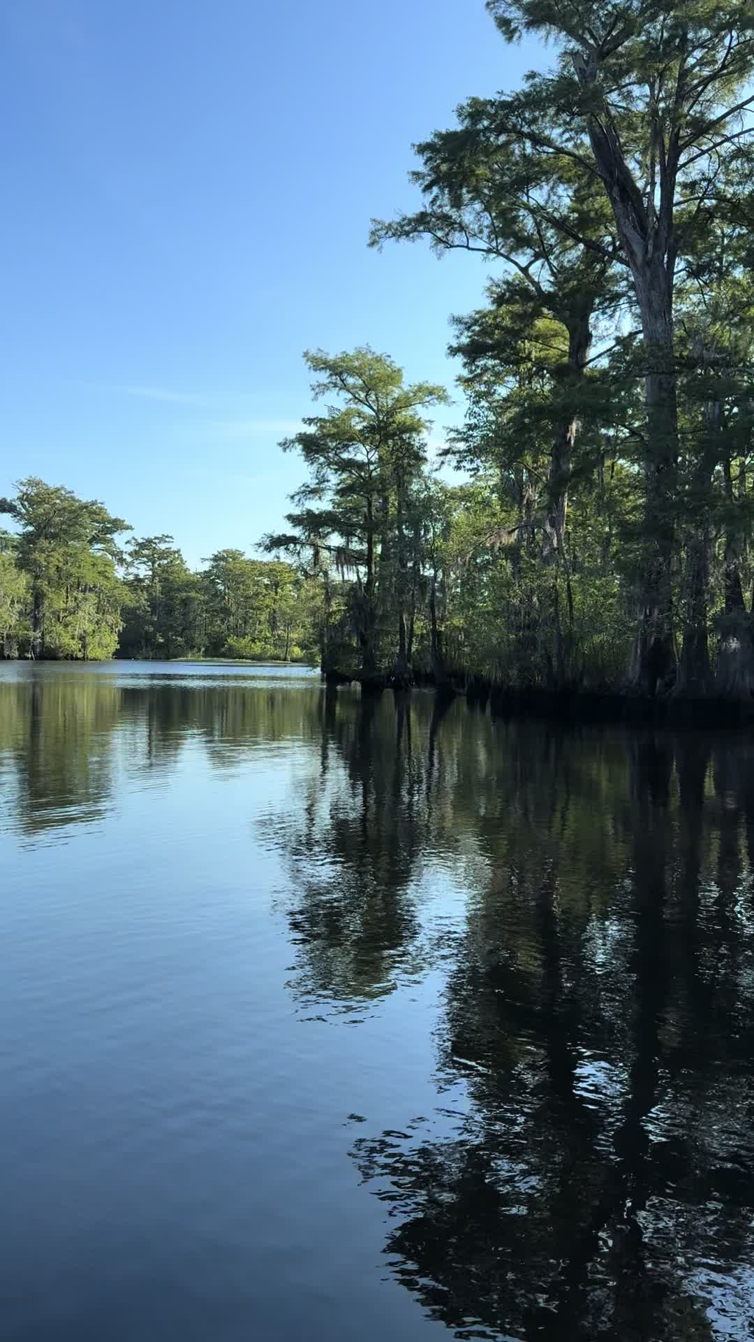 @East-Coast-Fishing