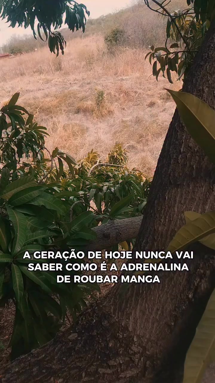@Raissa Nogueira