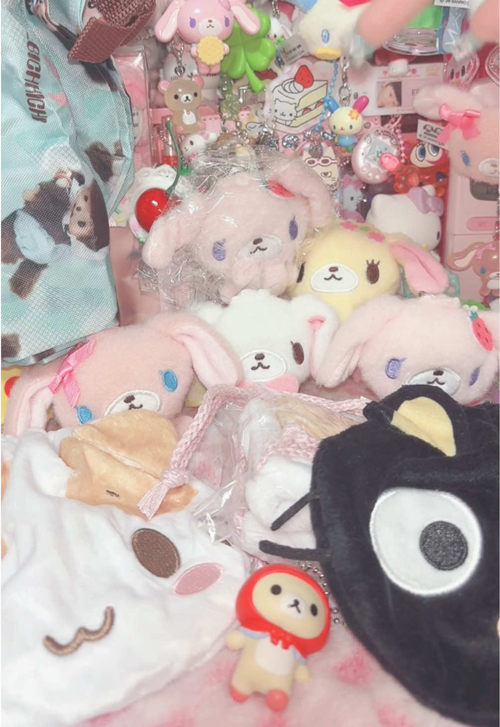 @포누 ぽぬ
