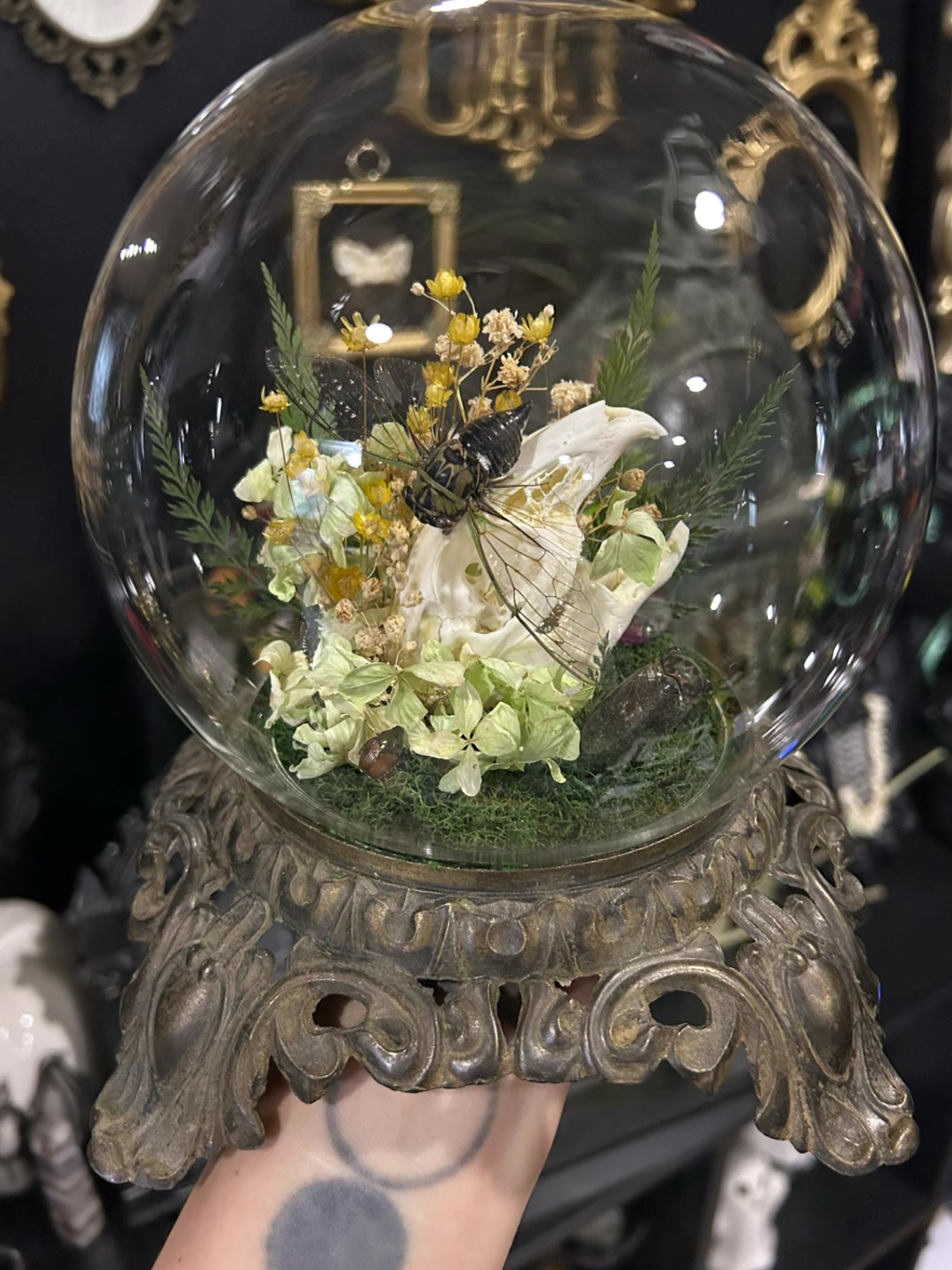 @Macabre Casket
