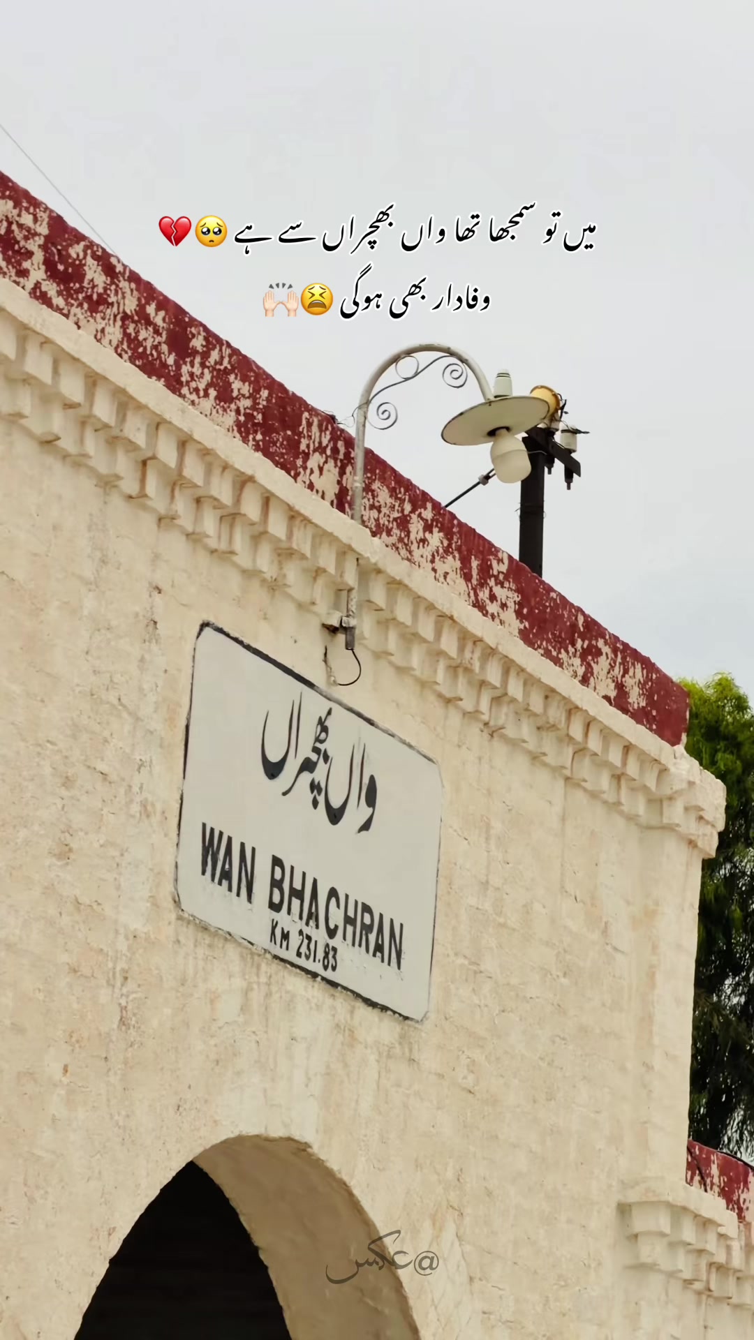 @🕊️