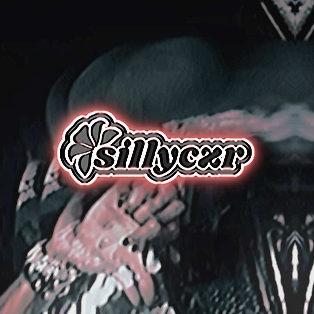 @sillyczrrr_