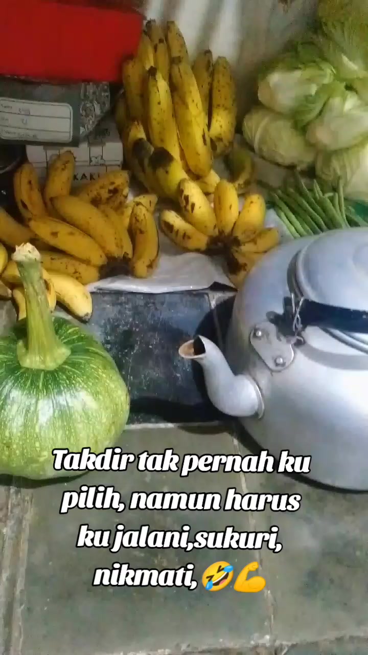 @Wangsa123