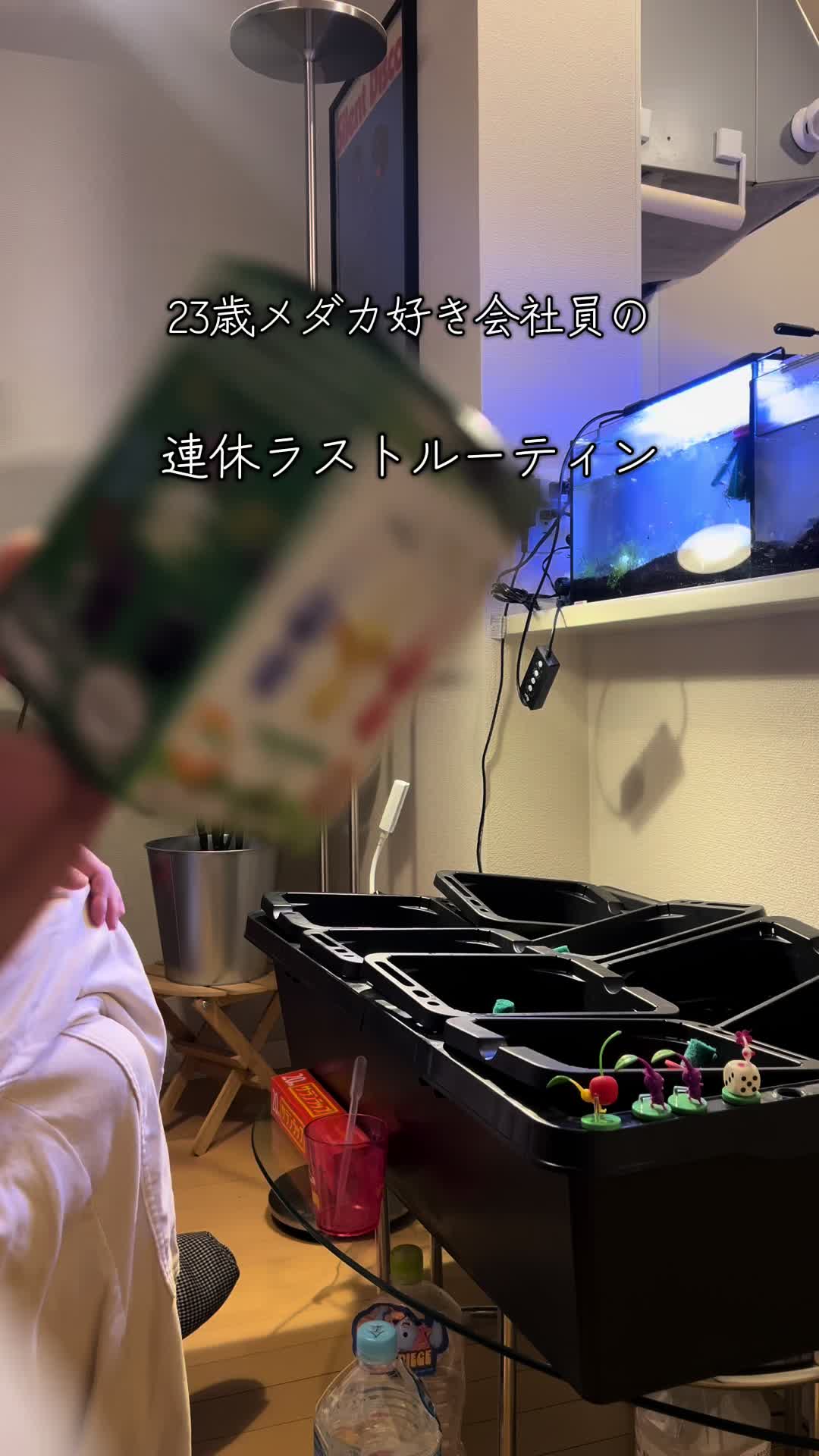 @メダカ屋の見習い🔰