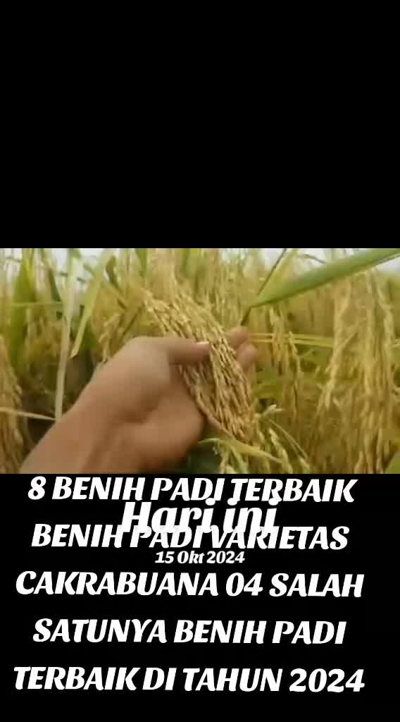 @PT. BHD INDONESIA