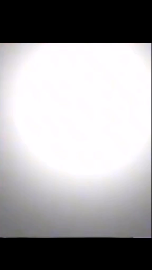 @un simio y un arbolero 👽🌳