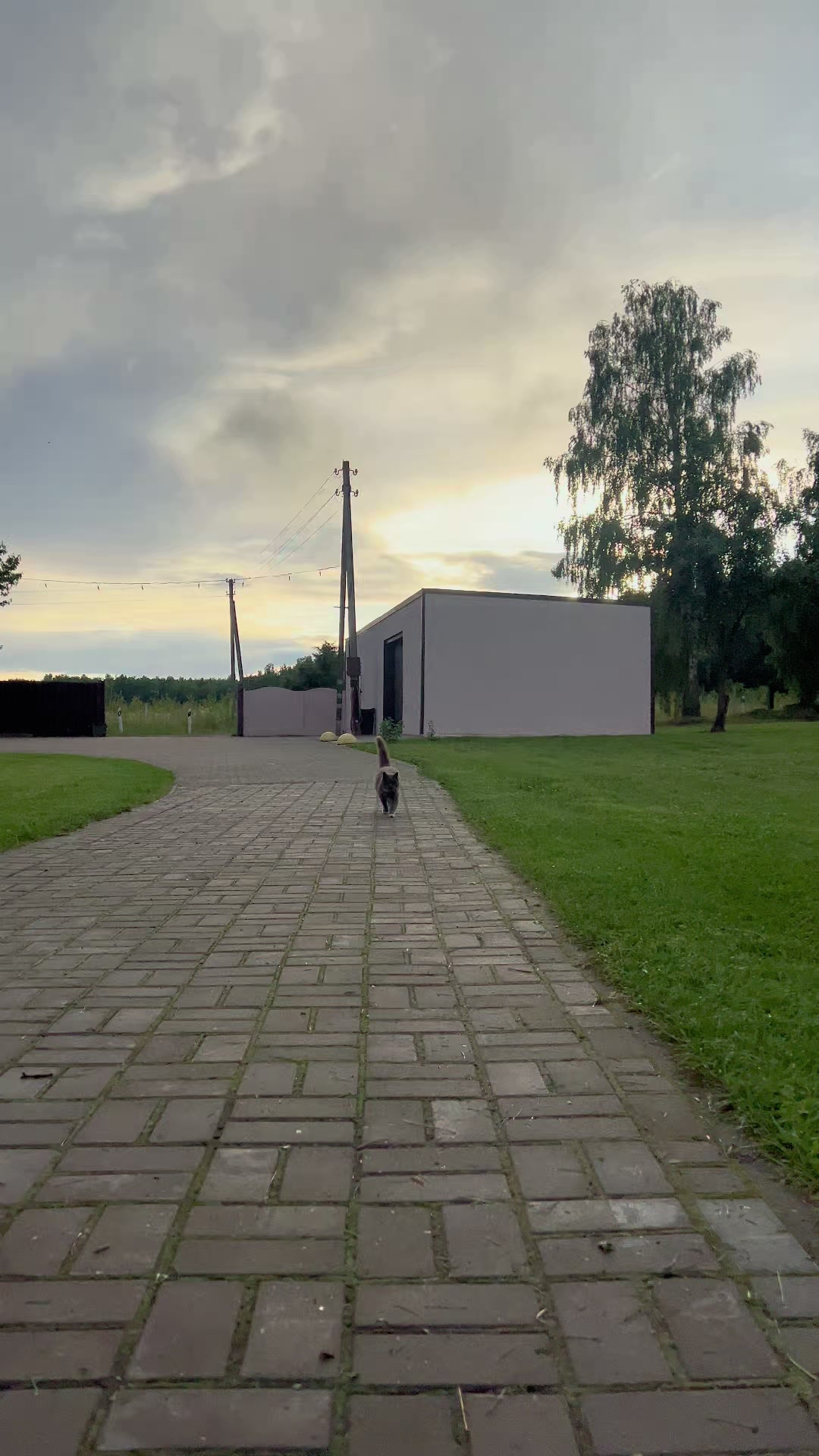 @ромка