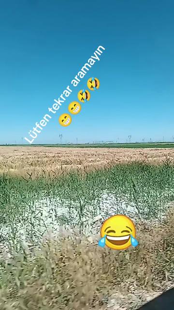 @🦂 GÜNEŞ 🦂
