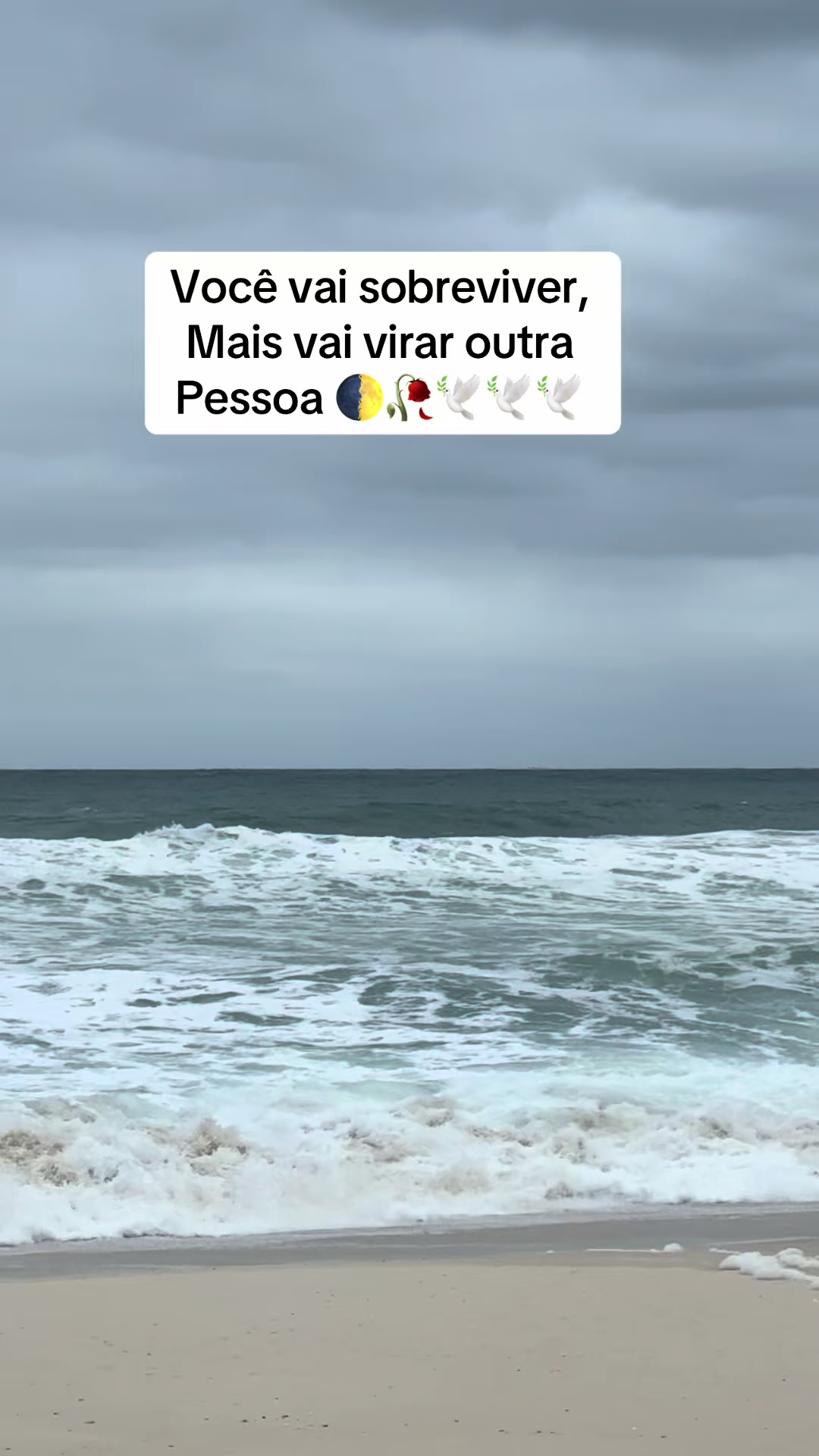 @⚜️Maia.Le&atilde;o⚜️