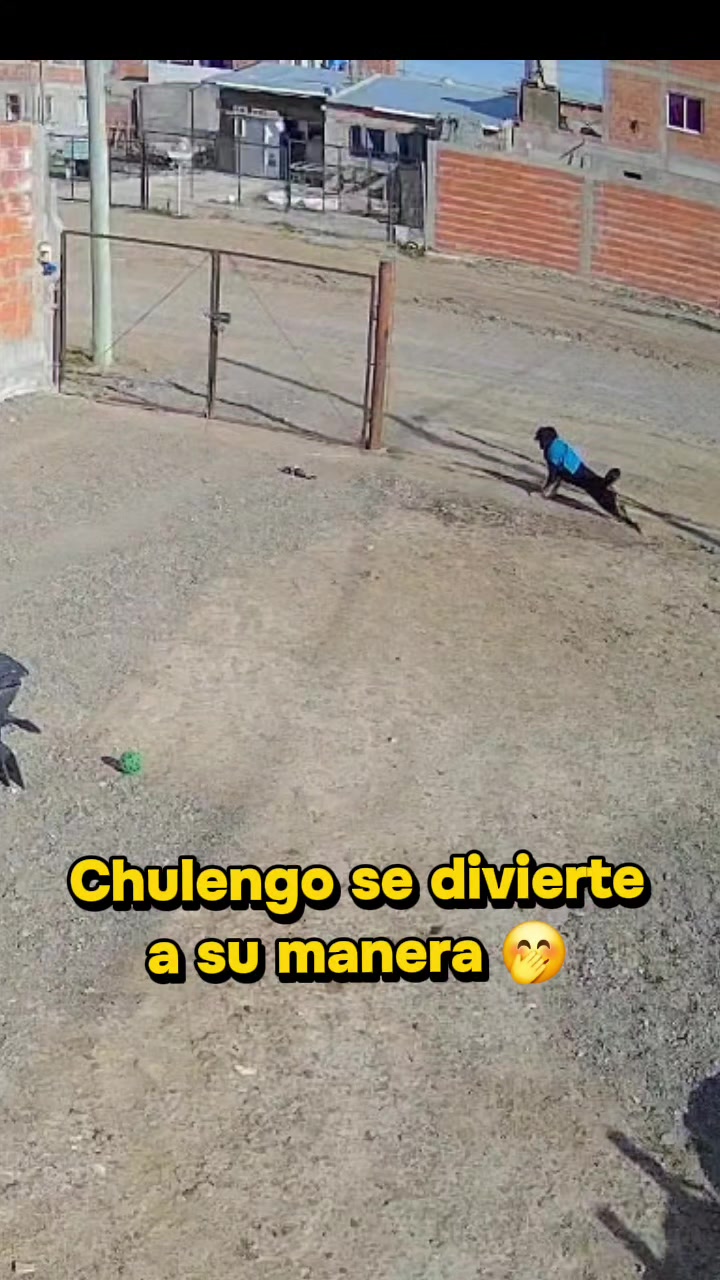 @Ro Alonso
