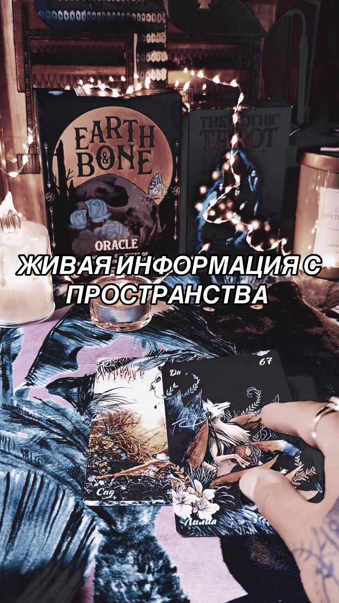 @Ника Козельская