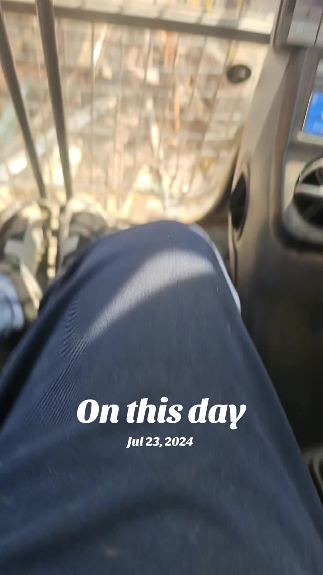 @bearly_Hi