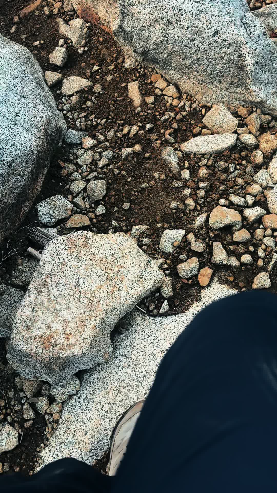 @🌲 James | WA 🏔️