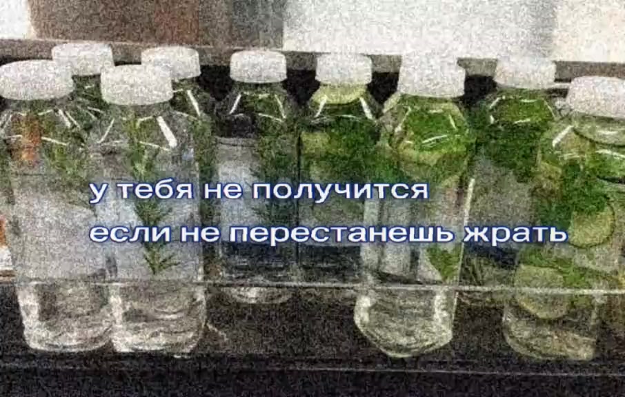 @keep up