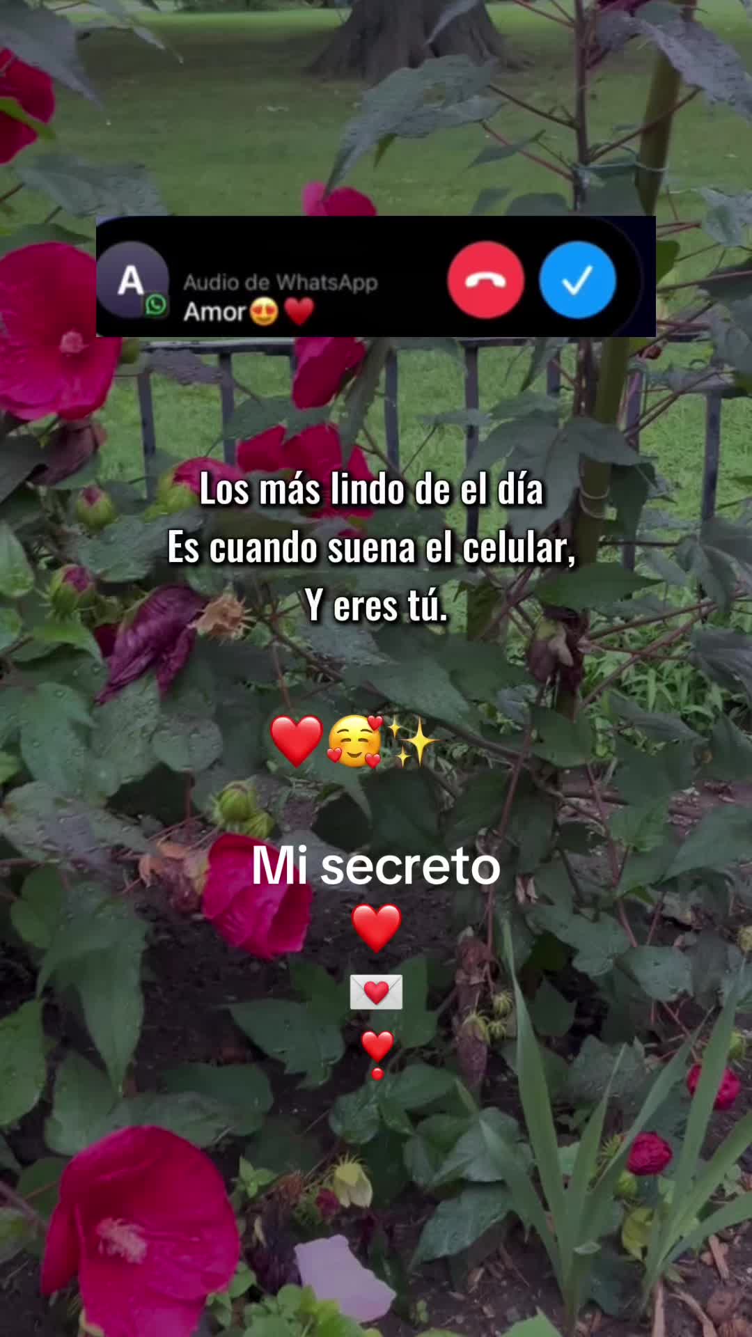 @๐ฒ๐ฝUn poblano en ny ๐บ๐ธ๐ฝโ๏ธ