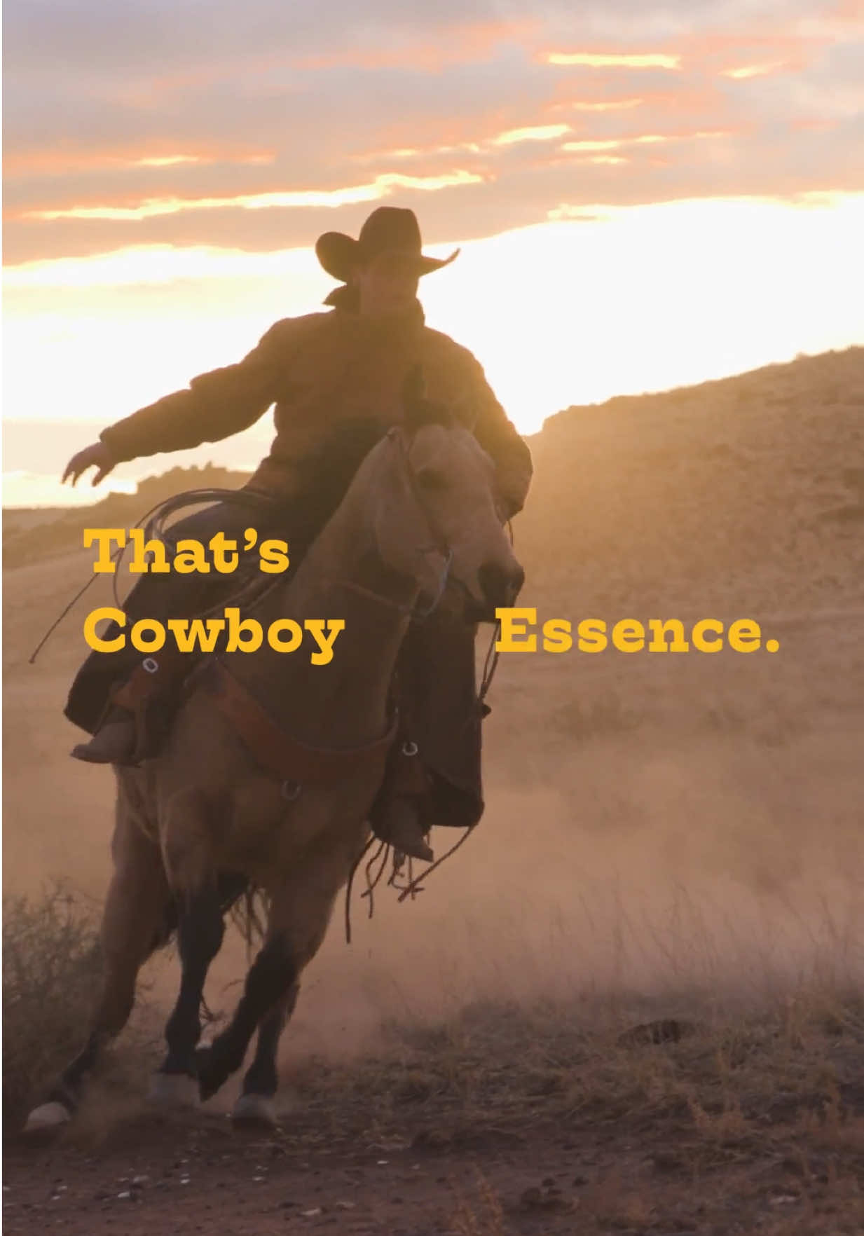 @carhartt
