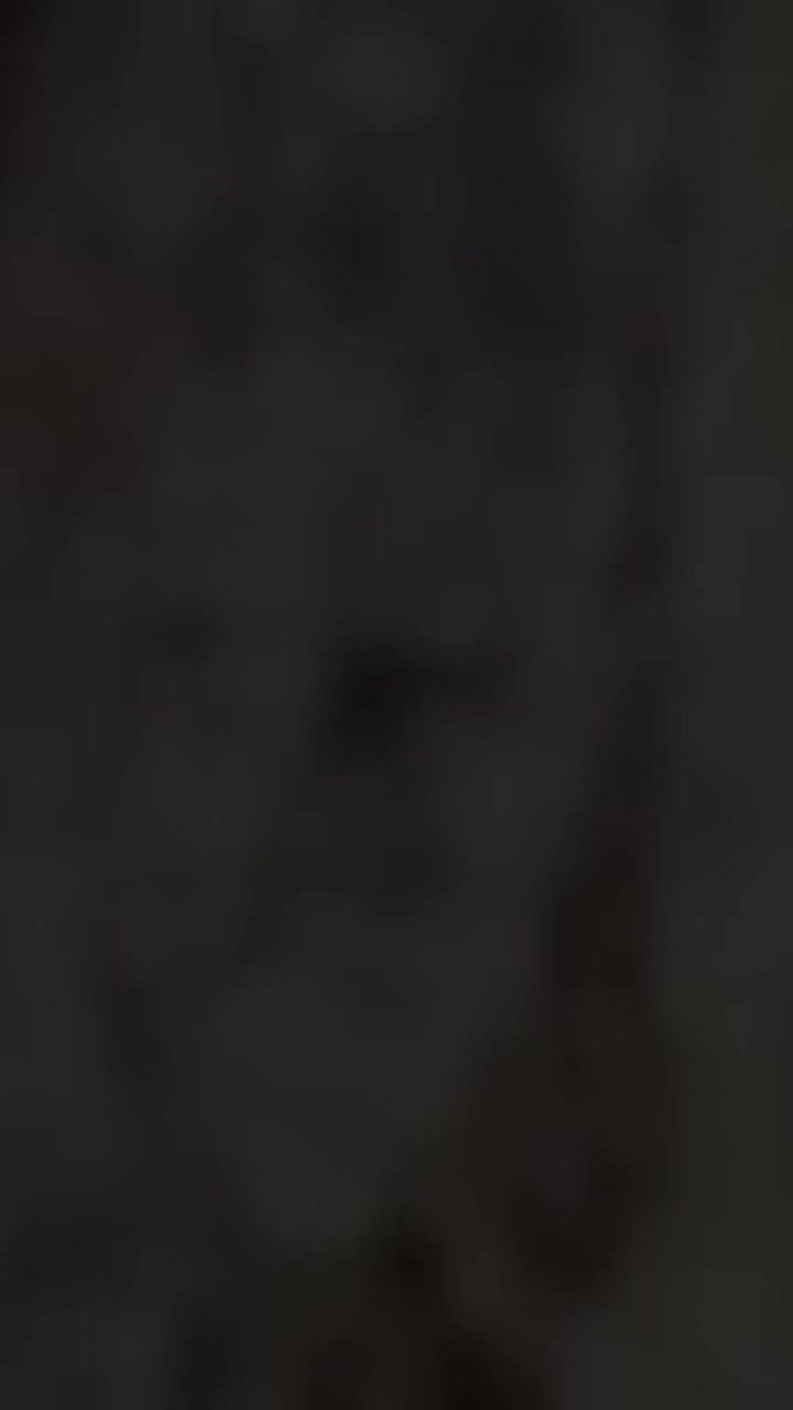 @๐ธ ๐๐๐ง๐๐ฒ ๐ธ