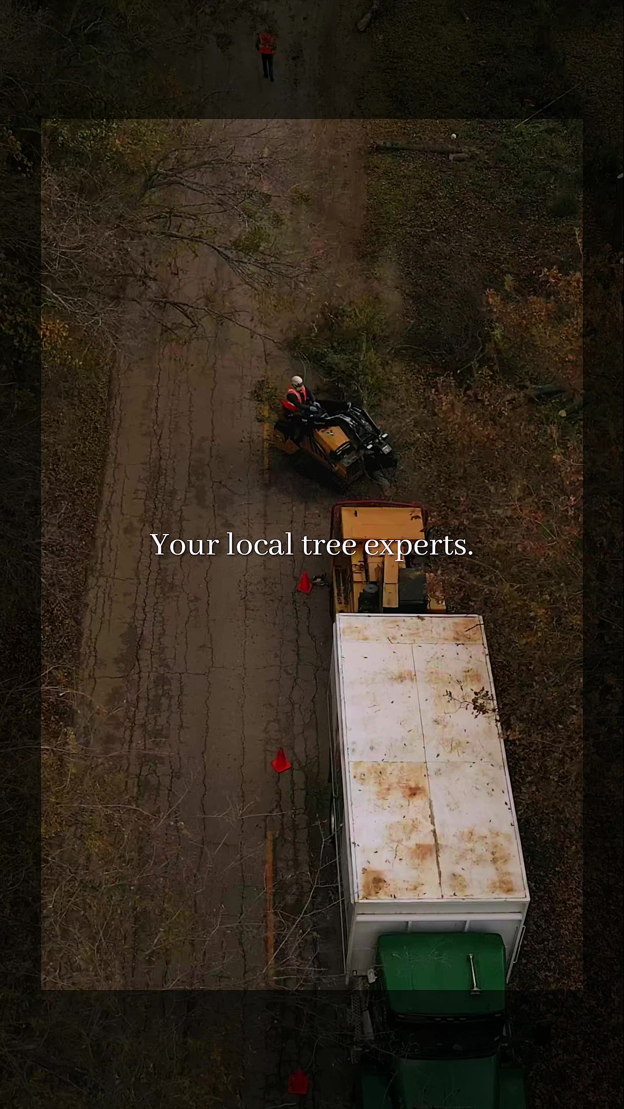 @SPTreeService