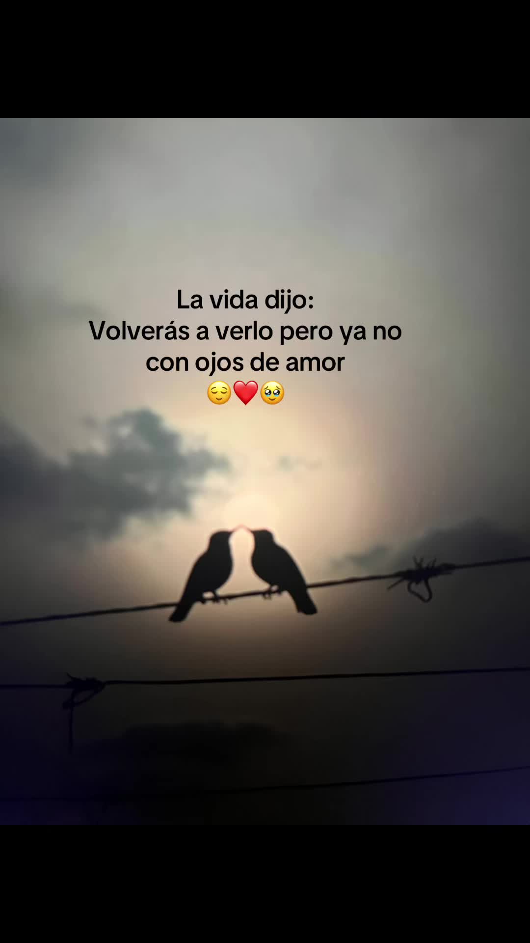 @Aida RamireZz❤️