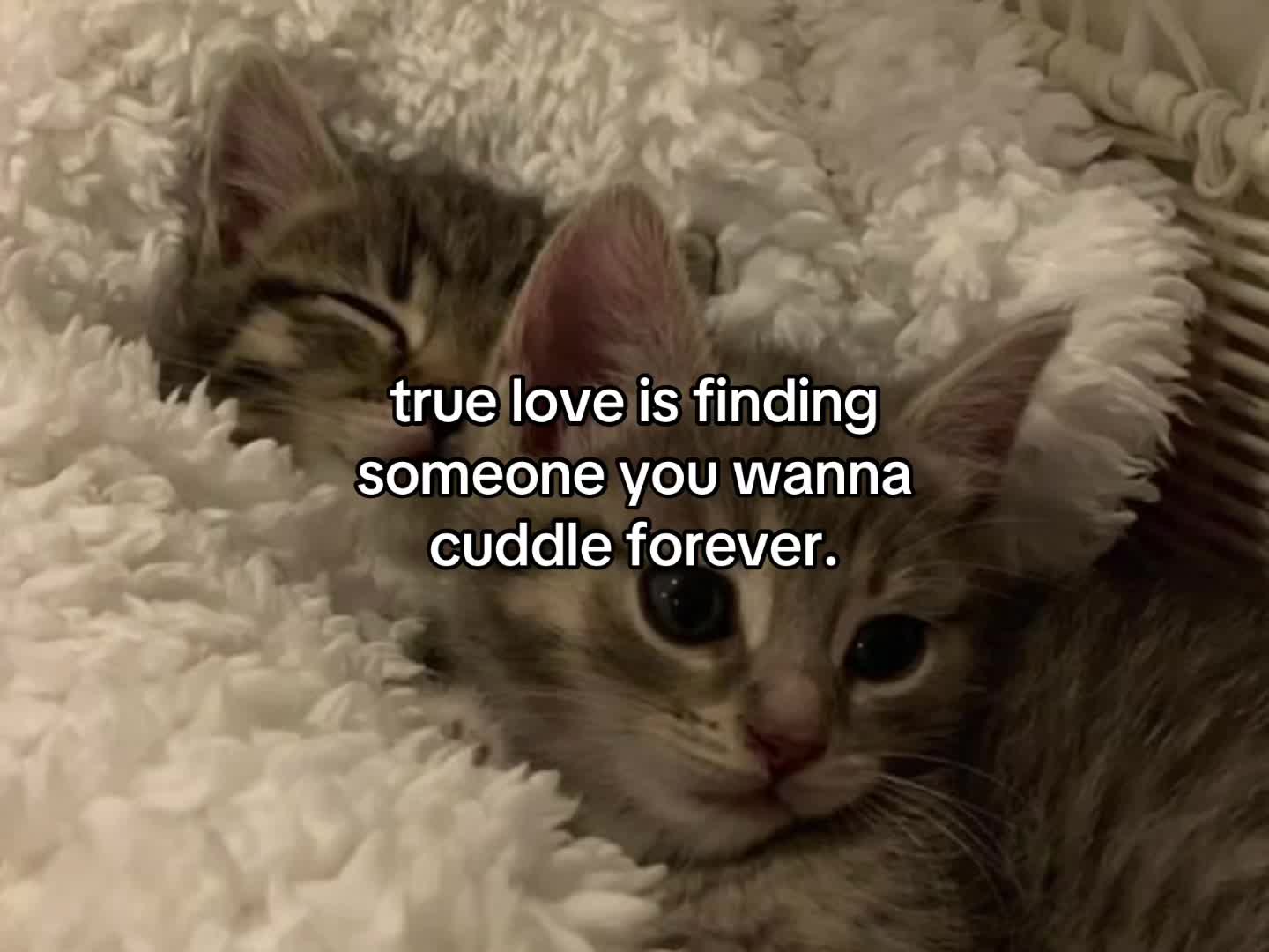 @lovecorrre