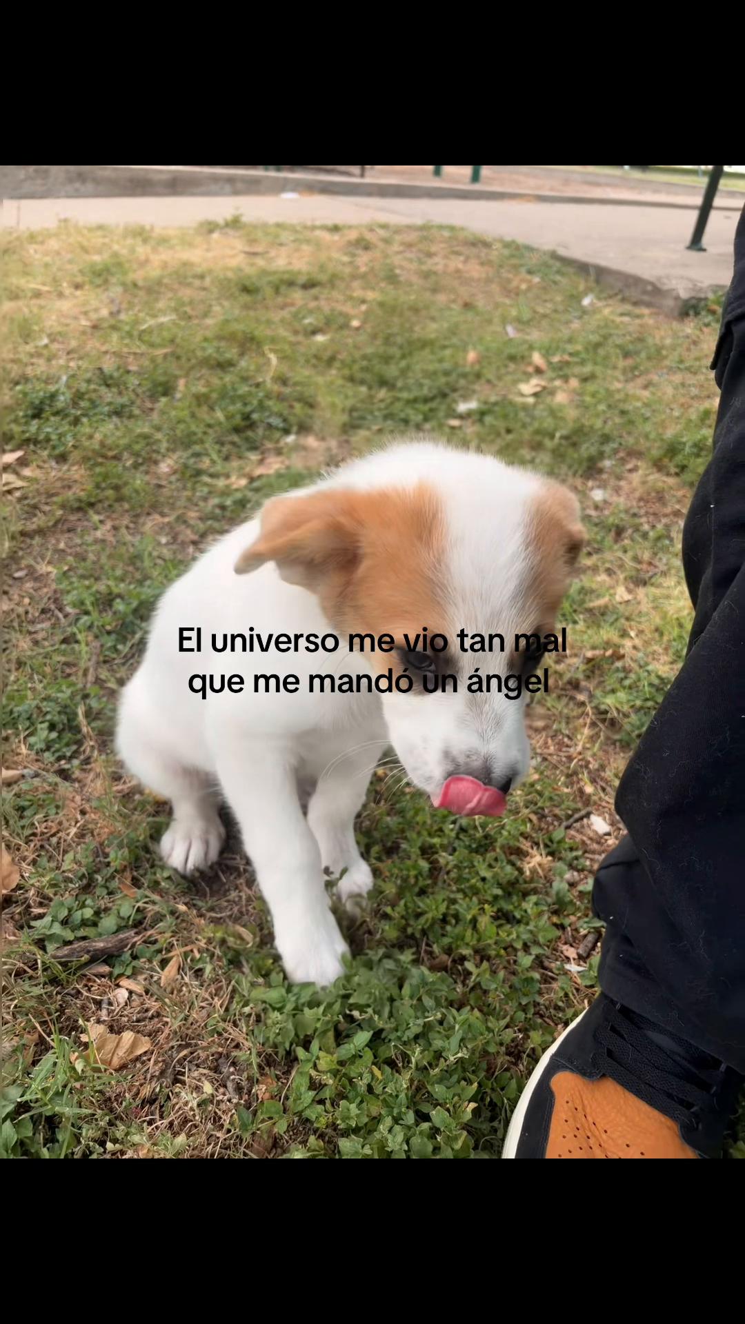 @deivimar_02