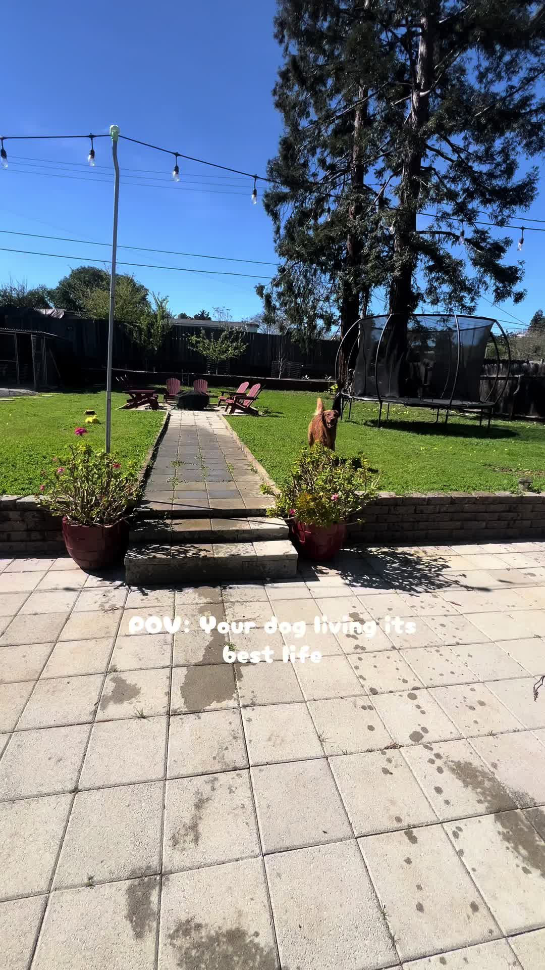 @_c.romo_