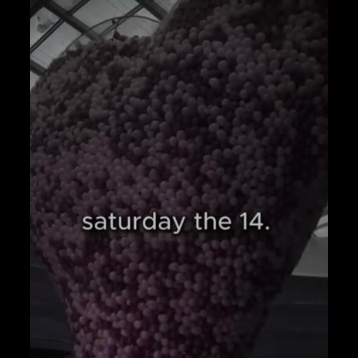 @إبراهيم