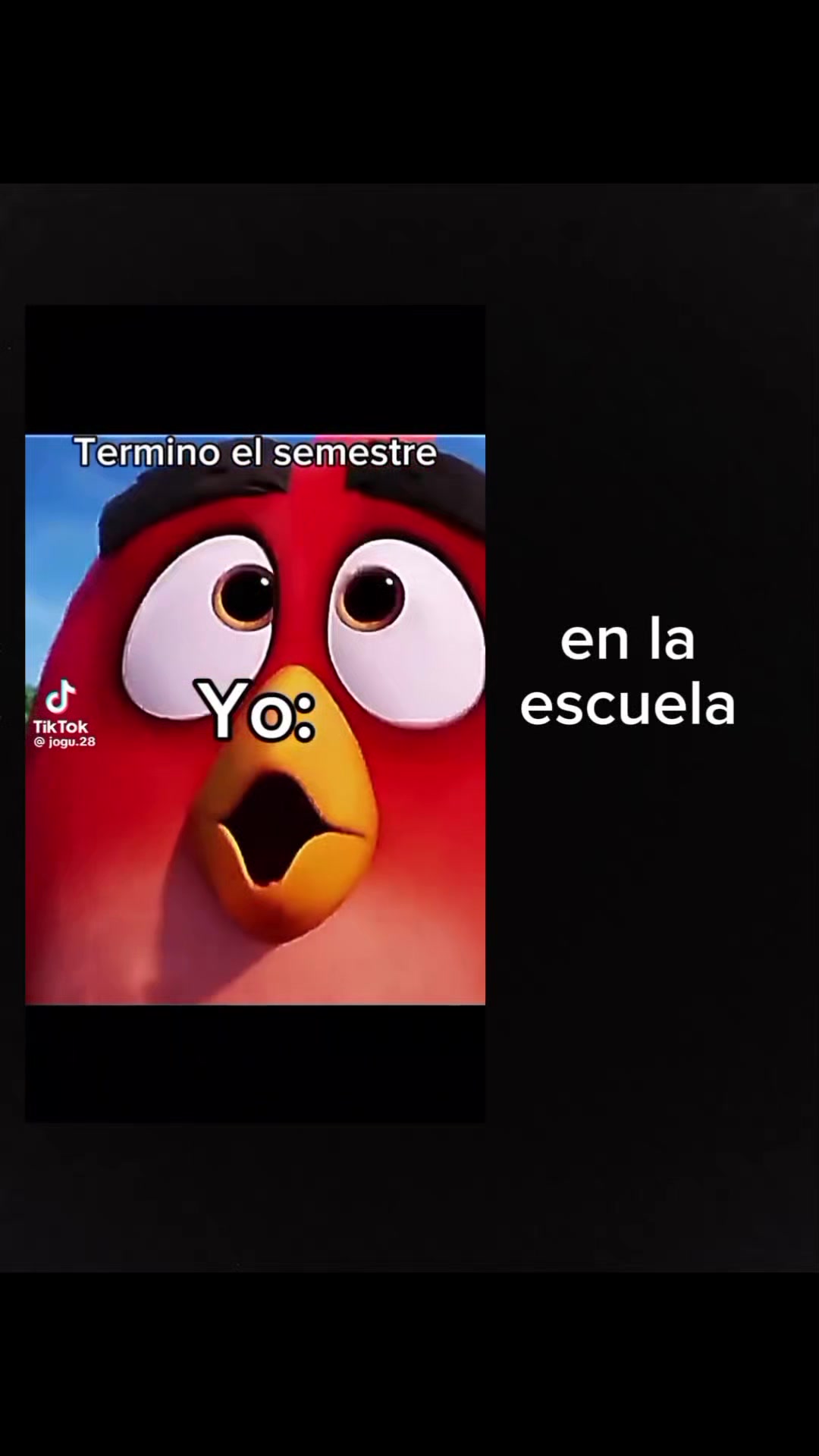 @notificación