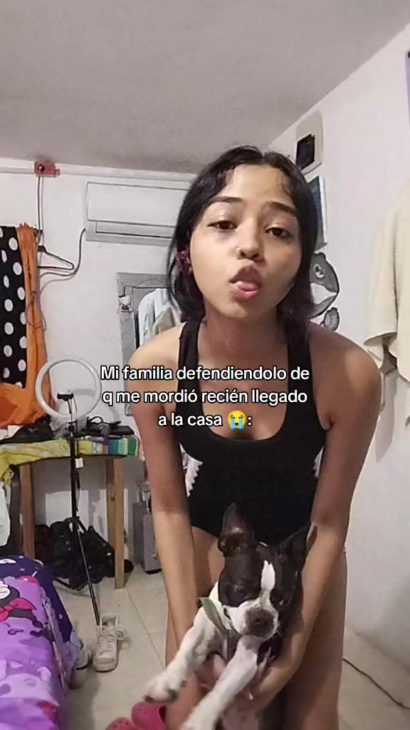 @carolaymichelld