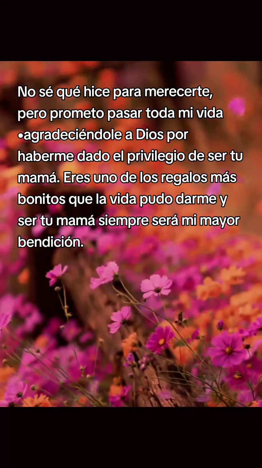 @🎀🫧𝕍𝕖𝕣ó𝕟𝕚𝕔𝕒🫧🎀
