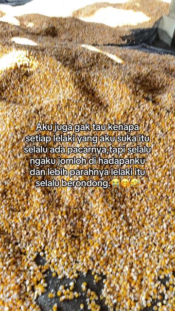 @chioon yun