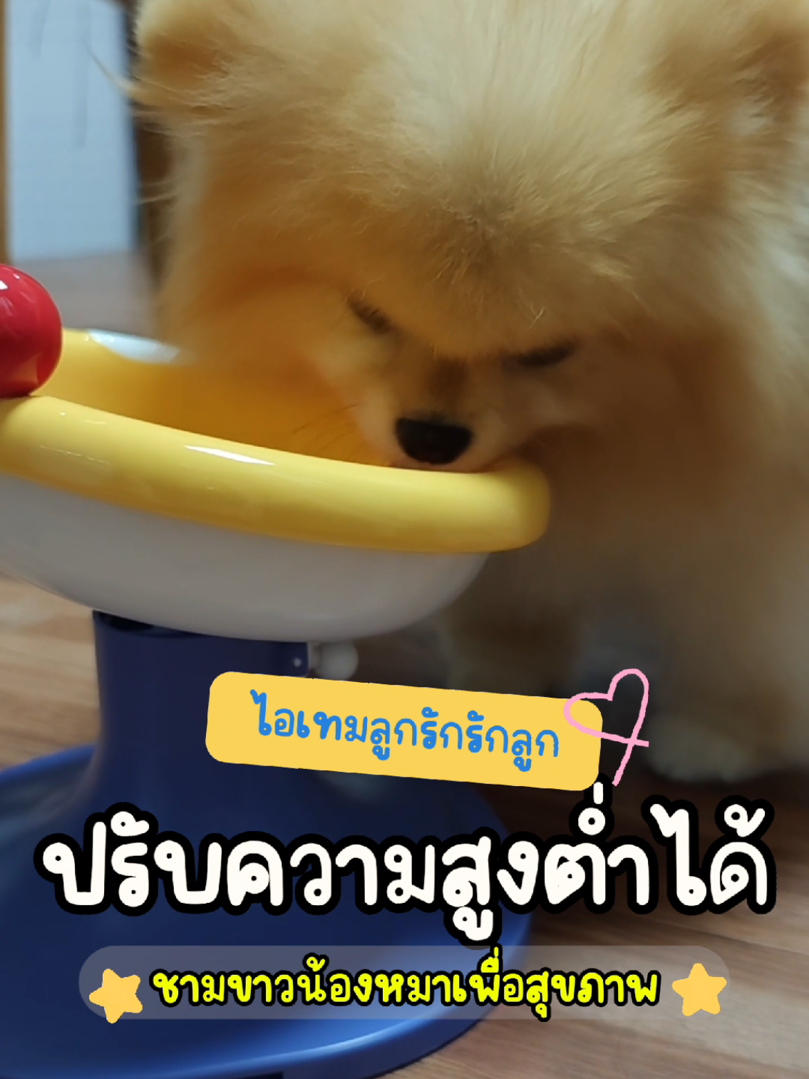 @Banana Diary