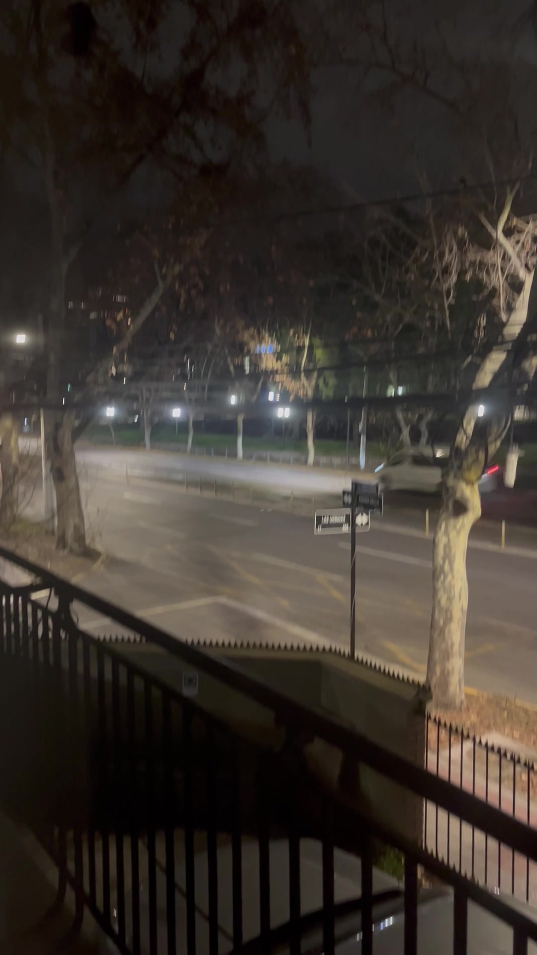 @Ilza Bento