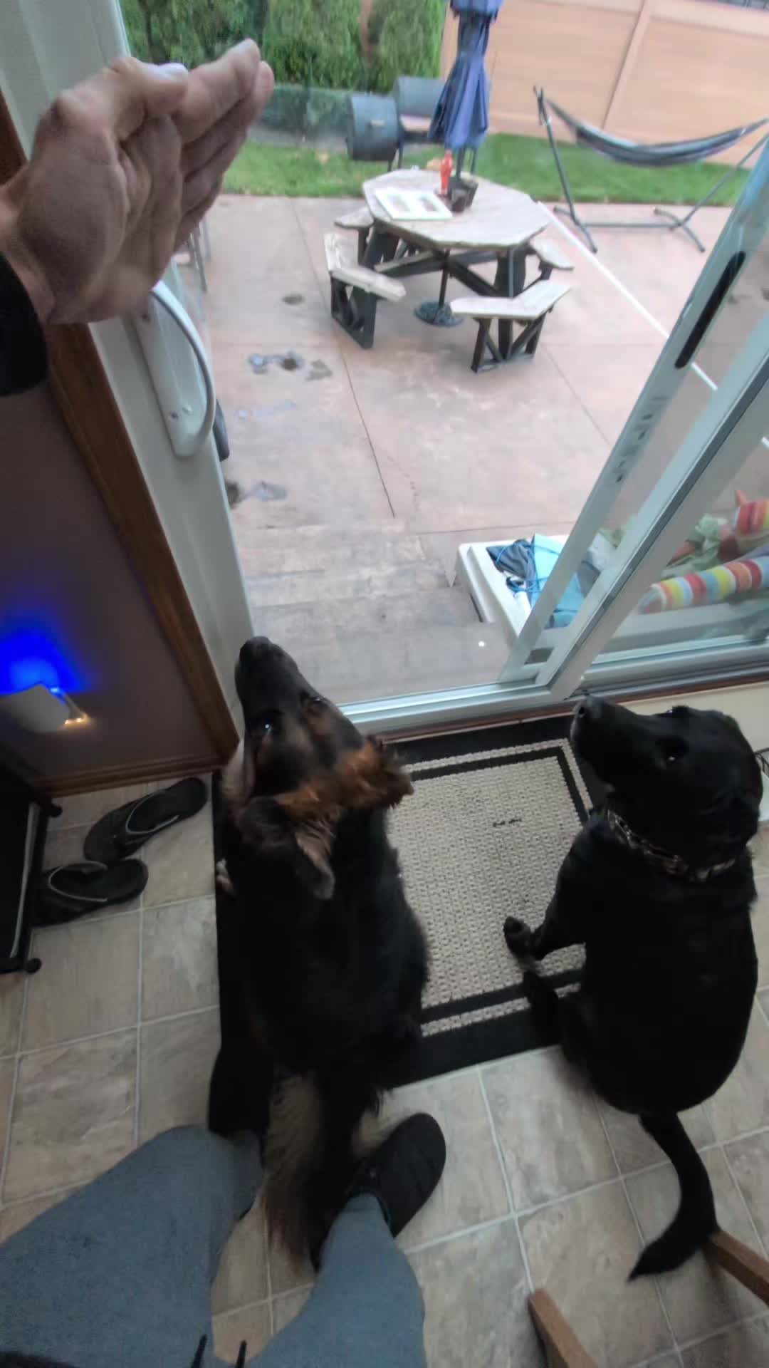 @AwesomeDogHandlingDude