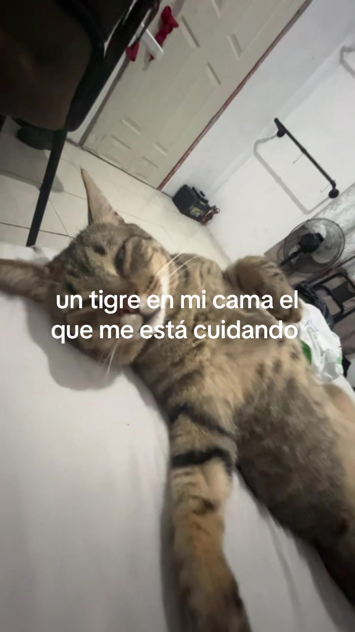 @ᴍᴏᴏɴ
