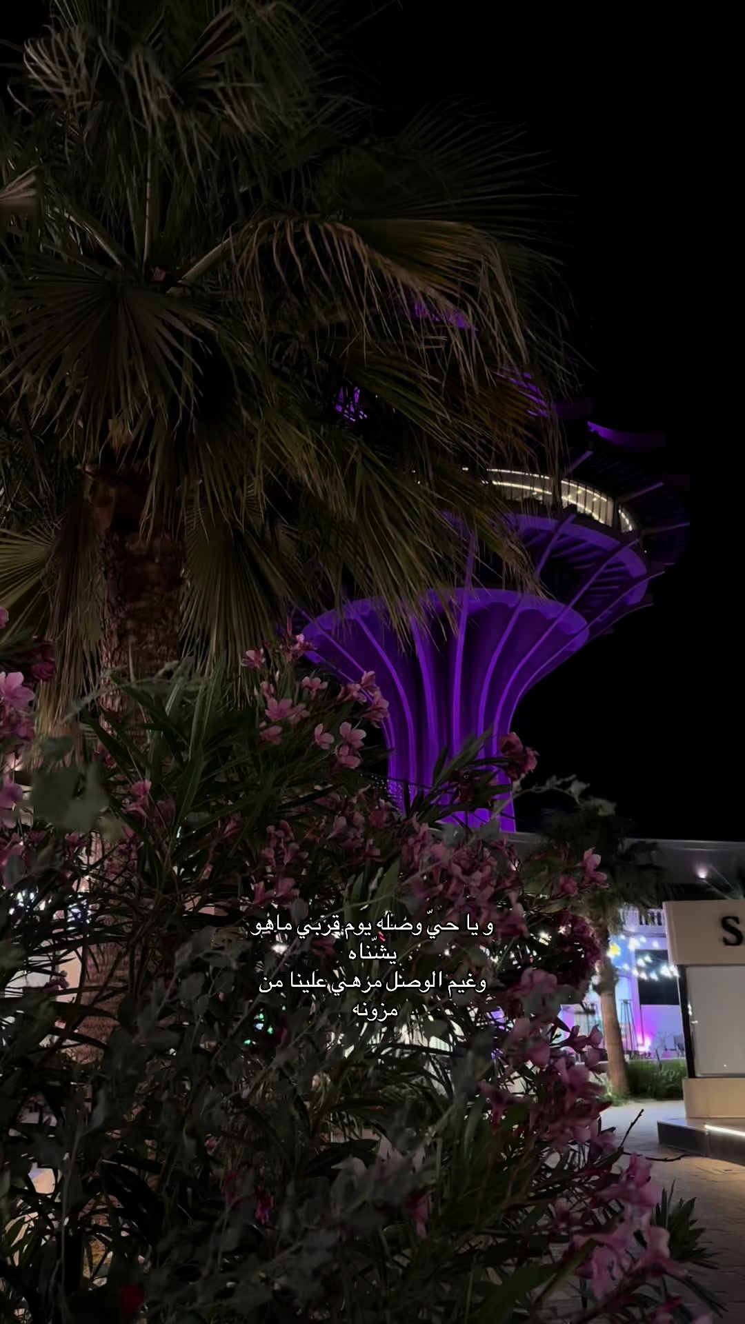 @أوليڤيا| الخرج 🌱