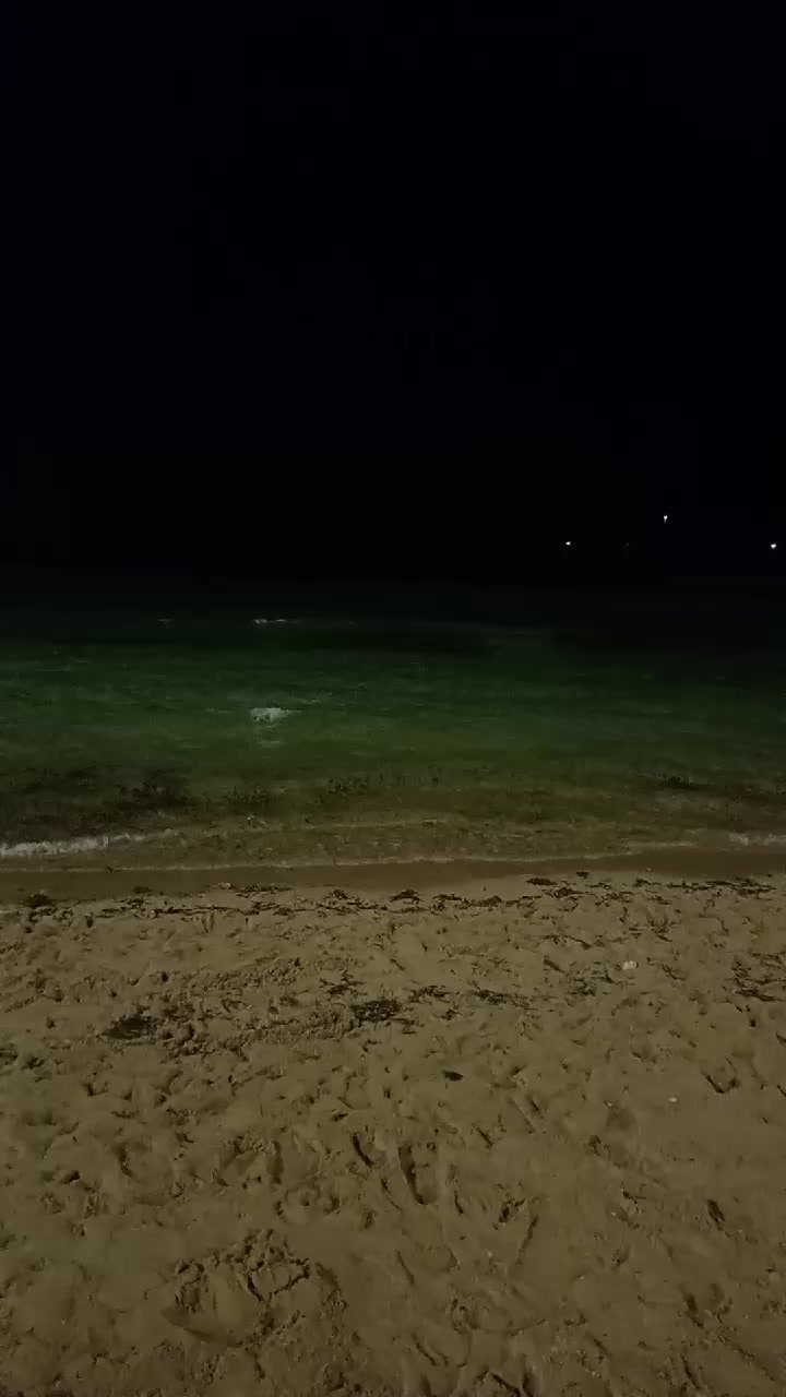 @بلوقر | اصايل العنزي 📸🌿