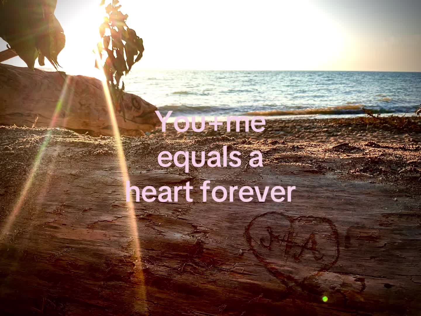 @Ana🪼
